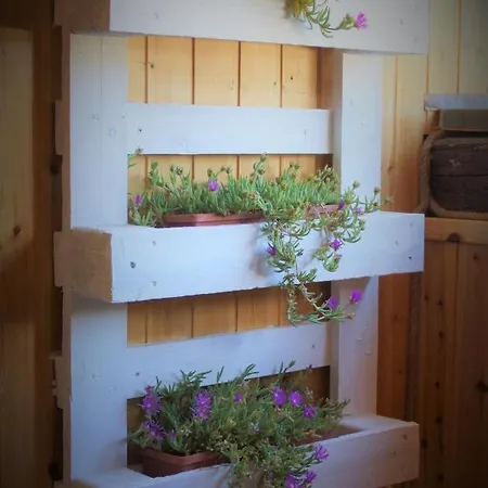 公寓 Chez Martin 奥斯塔